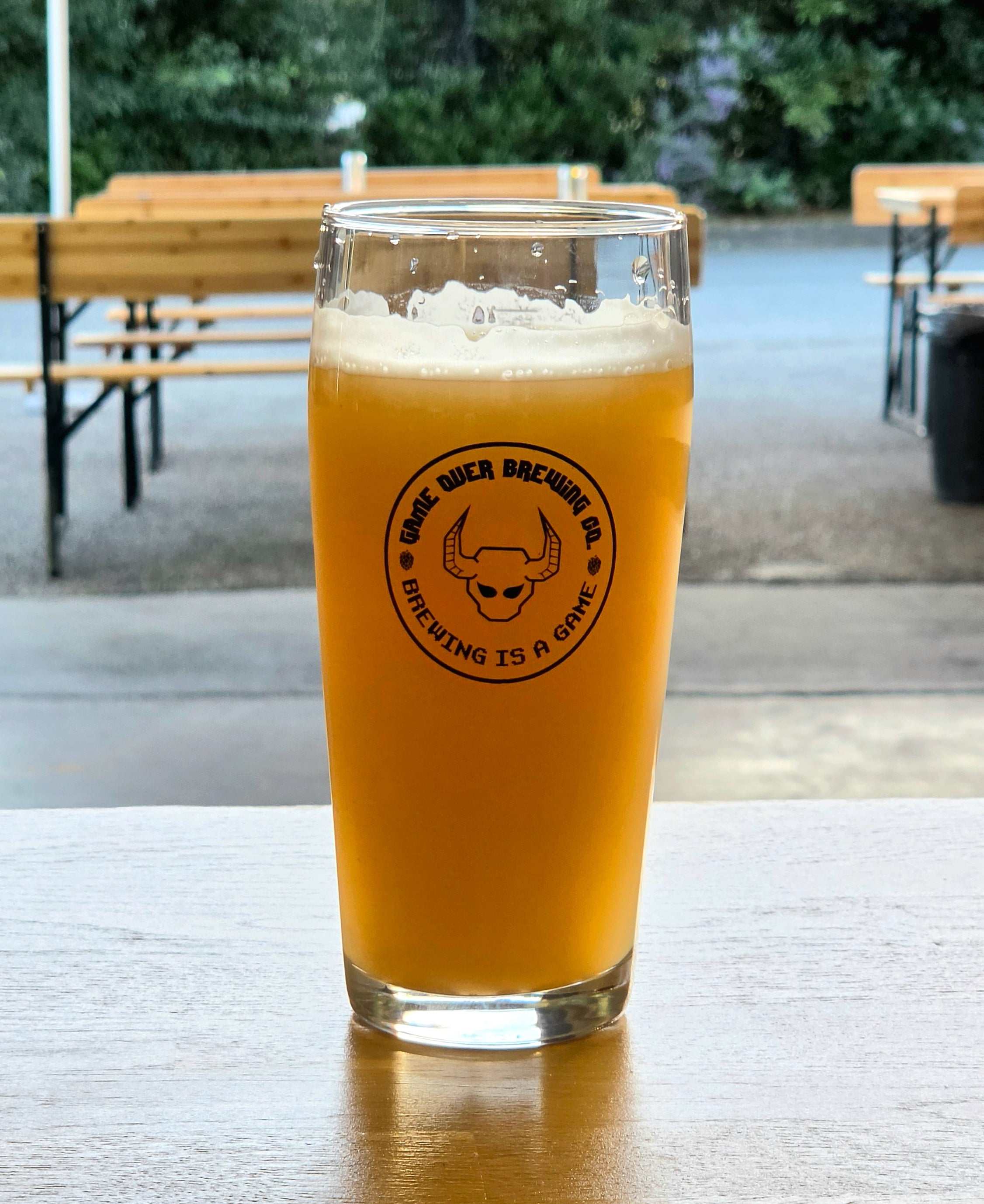 VERRE 50cl Game over brewing